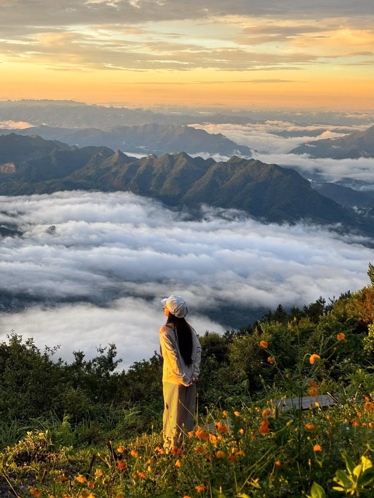 Đường đi thử thách nhưng đầy trải nghiệm Tà Xùa cách Hà Nội khoảng 200km, thường mất từ 5 – 6 tiếng di chuyển. Du khách có thể đi xe khách đến thị trấn Bắc Yên (Sơn La), sau đó thuê xe máy vượt đoạn đèo dài 15km lên trung tâm xã Tà Xùa. Đường đi tuy dốc và nhiều khúc cua hiểm trở, nhưng đổi lại là khung cảnh ngoạn mục – nơi mây trôi sát mặt đường và rừng thông bạt ngàn trải dài.
