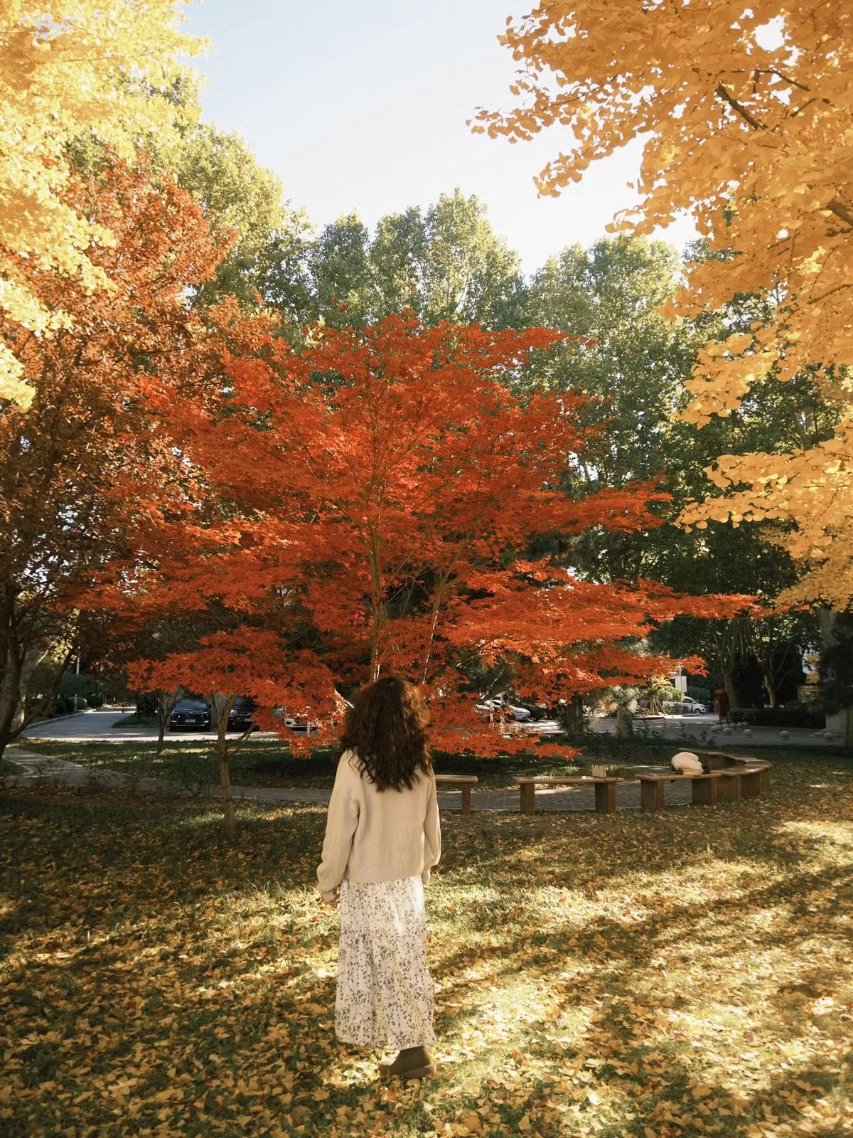 Mùa thu Bắc Kinh không chỉ là mùa của sắc màu mà còn là mùa của cảm xúc. Giữa những con phố phủ vàng lá ngân hạnh, giữa vị thơm của trà nóng và món vịt quay nghi ngút khói, người ta dễ dàng tìm thấy cảm giác bình yên, chậm rãi và trọn vẹn. Với vẻ đẹp vừa cổ kính vừa hiện đại, Bắc Kinh mùa thu chắc chắn là hành trình đáng nhớ dành cho bất cứ ai muốn tìm về những ngày tháng vàng rực của thiên nhiên và lòng người. Ảnh Bạch Yến