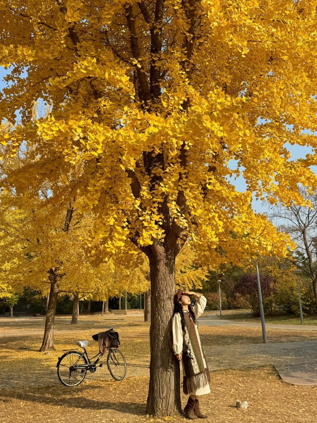 View - 'Săn' mùa thu vàng ở Bắc Kinh, chọn tour nào để trọn vẹn hành trình? | Báo Tri thức và Cuộc sống - TIN TỨC PHỔ BIẾN KIẾN THỨC 24H