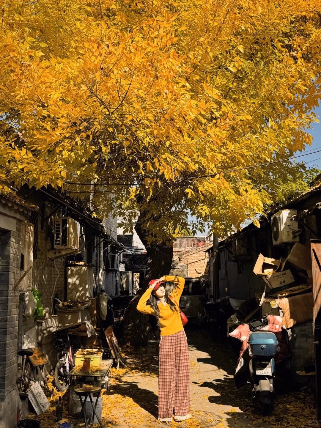 Với nền nhiệt dao động khoảng 8 – 18°C, thời tiết Bắc Kinh tháng 11 mát mẻ, khô ráo – lý tưởng để dã ngoại, đạp xe quanh hồ, leo núi nhẹ hoặc đơn giản là thưởng thức một tách trà nóng bên khung cửa sổ nhìn ra phố thu. Ảnh Check in China