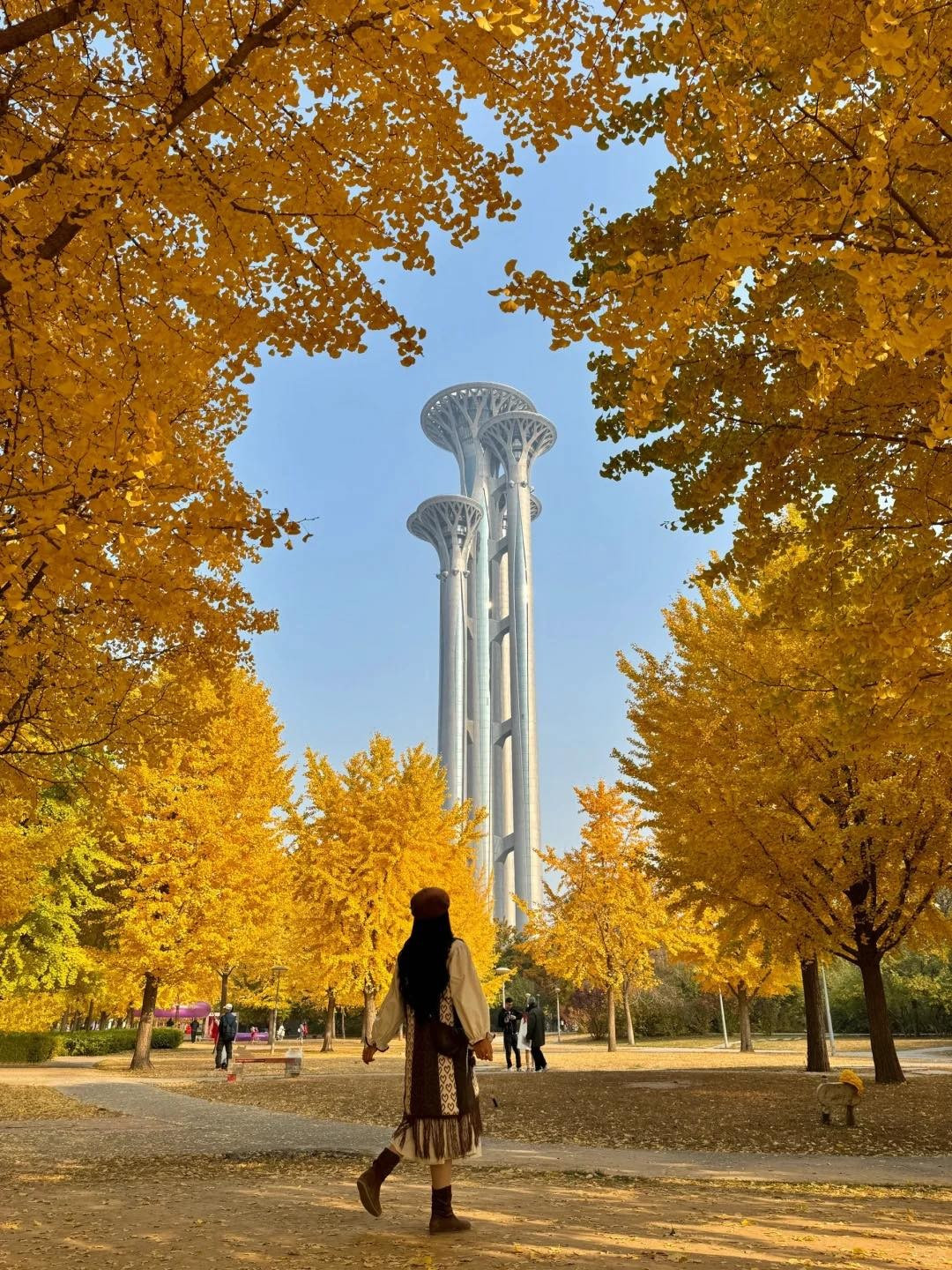 View - 'Săn' mùa thu vàng ở Bắc Kinh, chọn tour nào để trọn vẹn hành trình? | Báo Tri thức và Cuộc sống - TIN TỨC PHỔ BIẾN KIẾN THỨC 24H