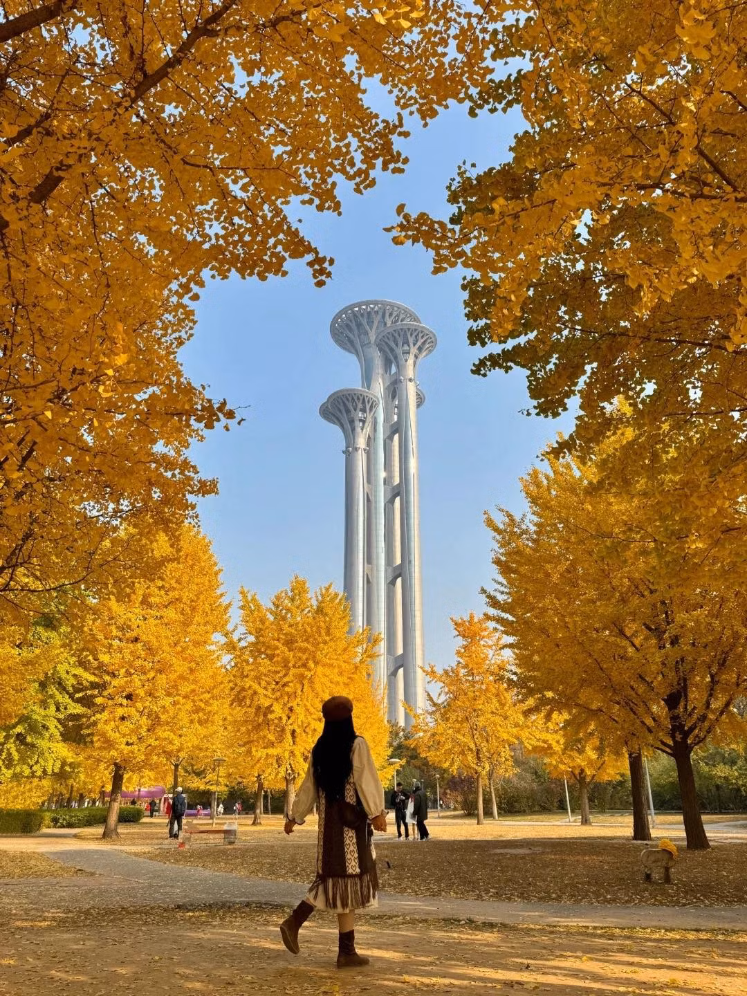 Mùa thu được xem là thời điểm đẹp nhất trong năm ở Bắc Kinh. Khi những hàng cây ngân hạnh đồng loạt thay lá, khắp các con phố, công viên và khuôn viên cổ kính đều như được dát vàng. Ảnh Check in China