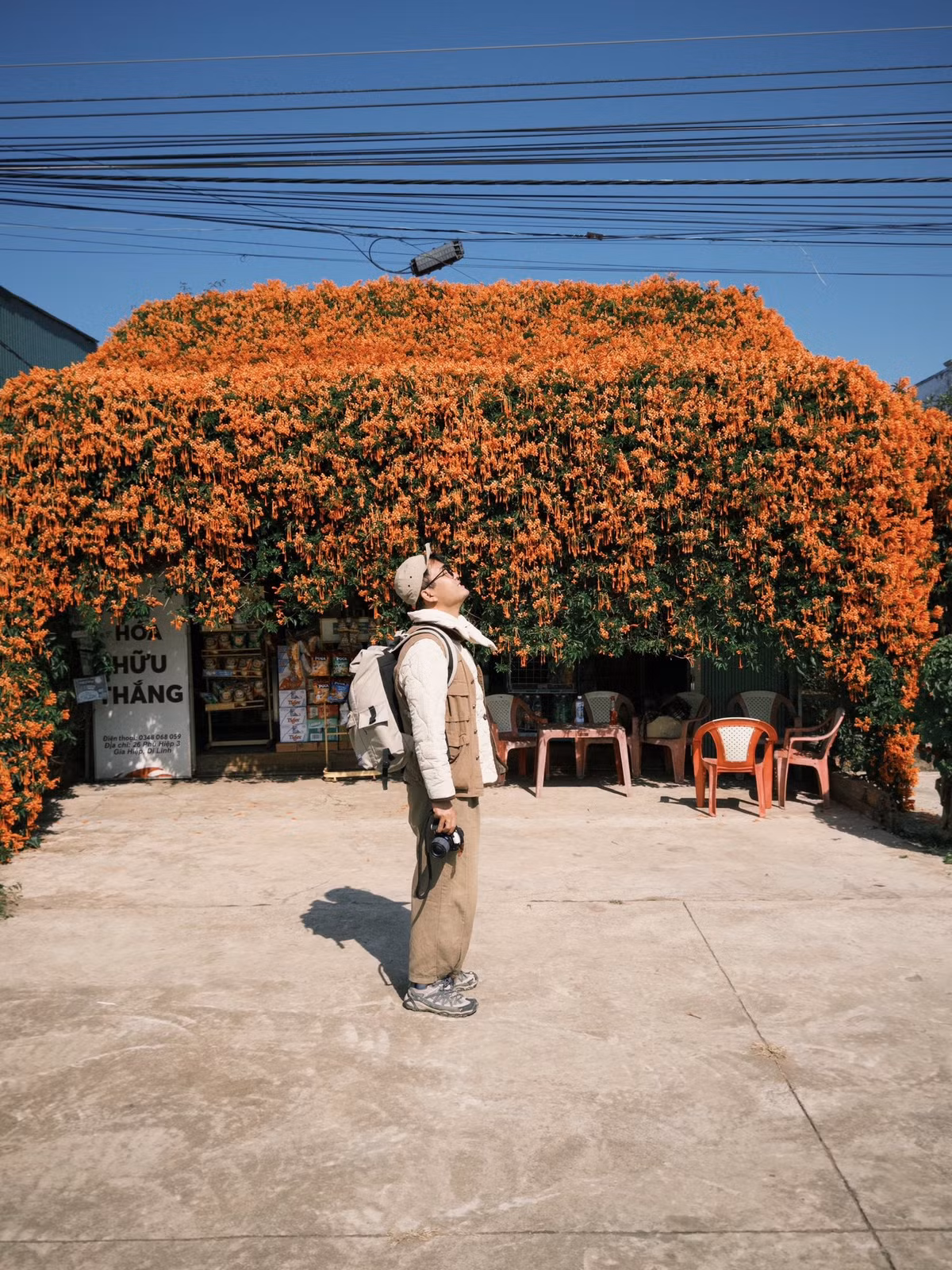 Dưới ánh nắng, những chùm hoa hình ống thon dài, màu cam rực lửa buông rủ mềm mại, mang đến khung cảnh vừa bình dị, vừa cuốn hút. Ảnh Nè He Đà Lạt