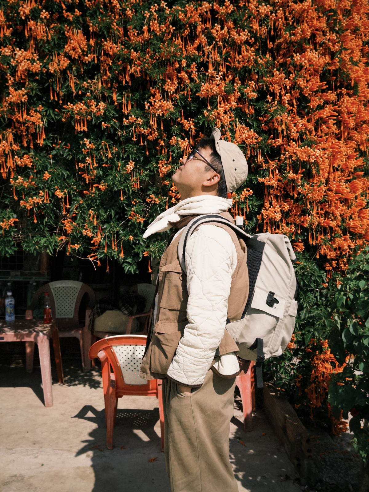 Hoa chùm ớt còn được gọi với nhiều cái tên khác như hoa xác pháo, hoa rạng đông. Đây là loài cây thân leo, có nguồn gốc từ Nam Mỹ. Hoa có hình ống, thon dài, trông tựa như quả ớt nhỏ với bốn cánh mềm, đầu hoa hơi cong, dài khoảng 7–8 cm. Ảnh Nè He Đà Lạt