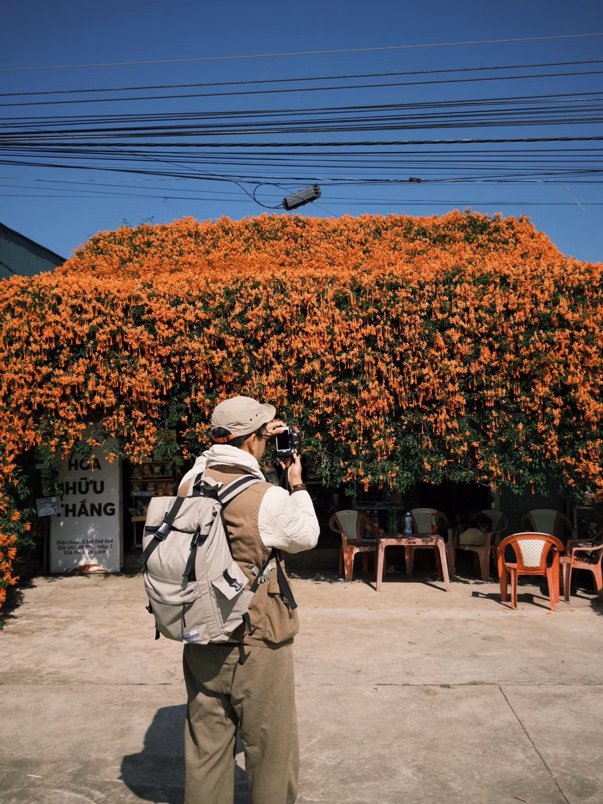 Về sau, ông bà mở tiệm tạp hóa nhỏ để mưu sinh và giàn hoa chùm ớt cũng theo đó trở thành một phần không thể thiếu của ngôi nhà. Từ chỗ chỉ để làm cảnh, giàn hoa nay vô tình trở thành “điểm nhấn” độc đáo trên cung đường Quốc lộ 20 – tuyến đường huyết mạch nối TP HCM với Đà Lạt. Ảnh Nè He Đà Lạt