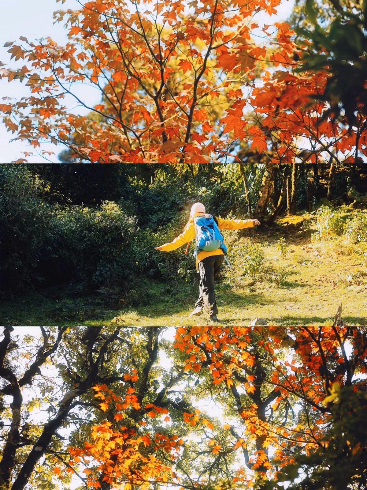 Đây cũng là nơi lý tưởng để du khách tìm về sự bình yên, tạm rời xa cuộc sống ồn ào, căng thẳng của đô thị, hòa mình cùng thiên nhiên trong trạng thái thư thái nhất. Ảnh ngthugiang.02