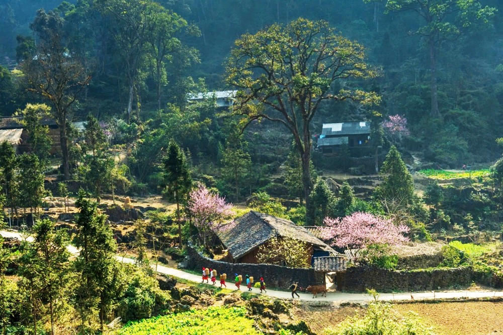 Chia sẻ tại sự kiện, ông Phan Huy Ngọc, Chủ tịch UBND tỉnh Tuyên Quang, nói: “Đây là ghi nhận của cộng đồng quốc tế đối với những gì chúng tôi theo đuổi trong nhiều năm qua. Danh hiệu cũng là động lực để Tuyên Quang tiếp tục phát triển du lịch thành ngành kinh tế mũi nhọn, đưa hình ảnh địa phương đến gần hơn với bạn bè quốc tế.” Ảnh Chu Việt Bắc