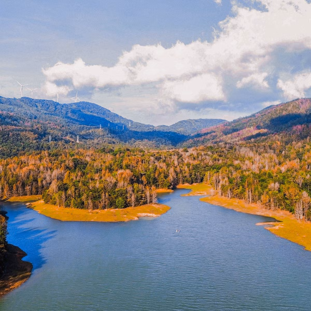 Trong đó, hồ thủy điện Rào Quán được xem là điểm nhấn bởi mặt nước xanh trong và những cánh rừng phong hương trải dài bao quanh. Ảnh Jungle Boss Tours