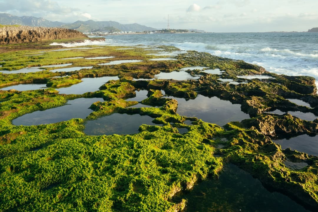 Ngồi trên những phiến san hô khô, phóng tầm mắt ra biển rộng, hít hà mùi gió mặn đặc trưng, du khách dễ cảm nhận được vẻ đẹp mộc mạc nhưng giàu sức sống của vùng đất ven biển. Không cần quá nhiều hoạt động, chỉ riêng khung cảnh và nhịp sống tự nhiên nơi đây cũng đủ khiến hành trình trở nên đáng nhớ. Ảnh Lương Phong