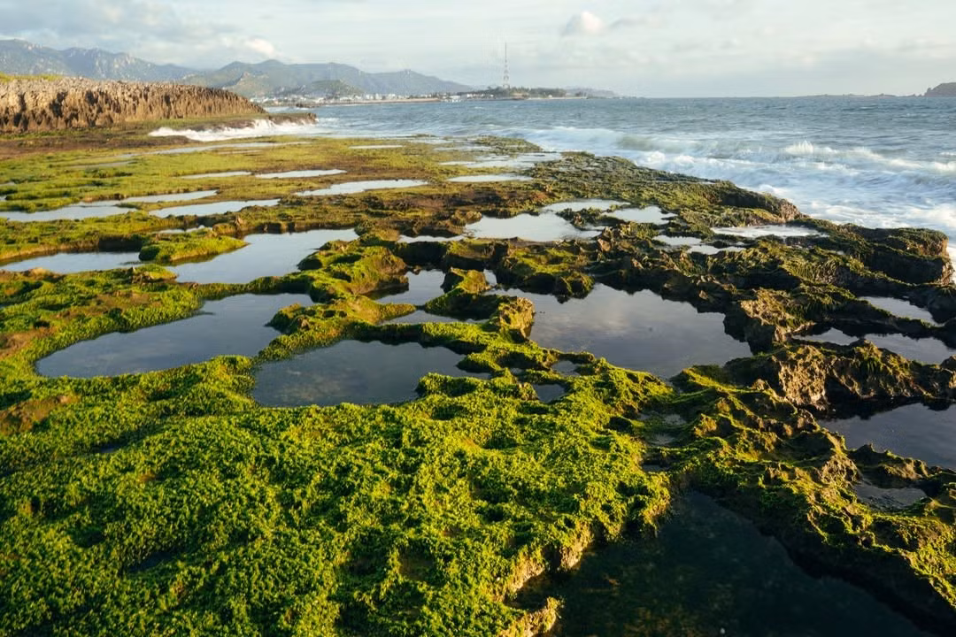 Ngồi trên những phiến san hô khô, phóng tầm mắt ra biển rộng, hít hà mùi gió mặn đặc trưng, du khách dễ cảm nhận được vẻ đẹp mộc mạc nhưng giàu sức sống của vùng đất ven biển. Không cần quá nhiều hoạt động, chỉ riêng khung cảnh và nhịp sống tự nhiên nơi đây cũng đủ khiến hành trình trở nên đáng nhớ. Ảnh Lương Phong