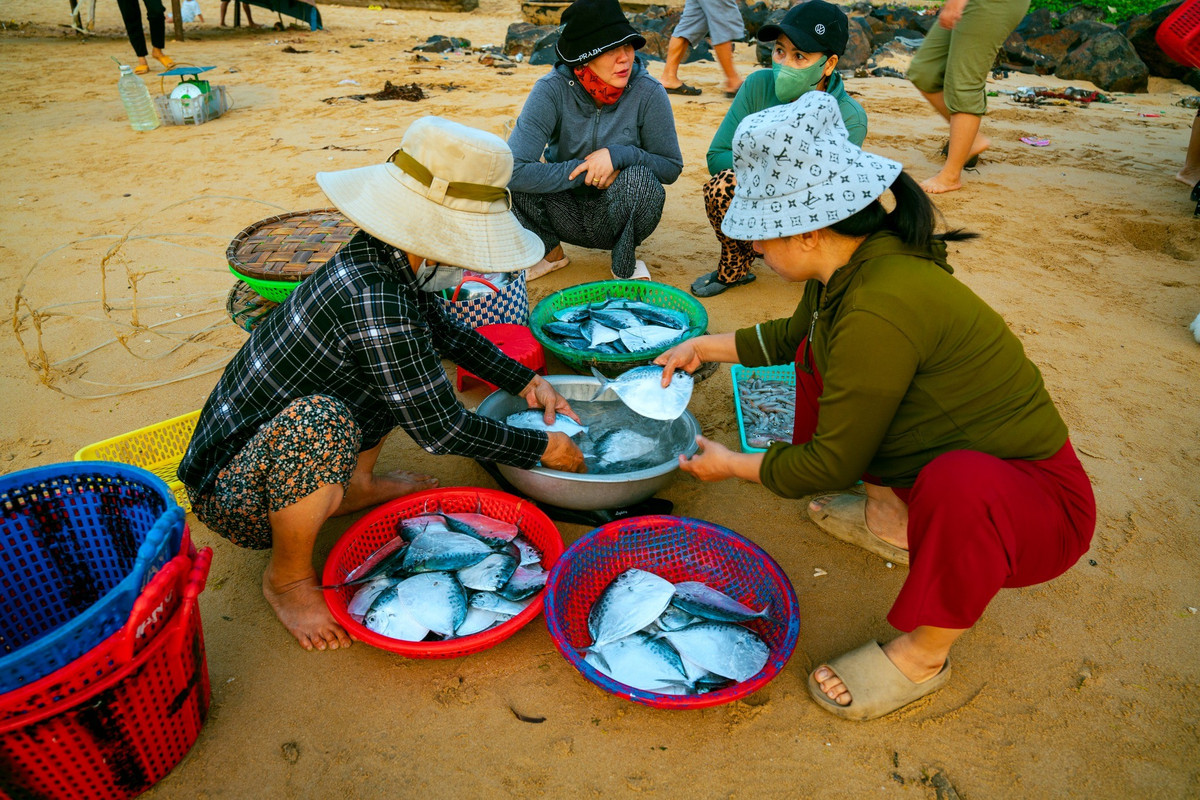 Ánh đèn pin lấp lánh từ các sạp hàng, tiếng trả giá rôm rả và nhịp lao động hối hả hòa quyện tạo nên bức tranh sinh động của làng chài khi trời còn chưa sáng rõ.