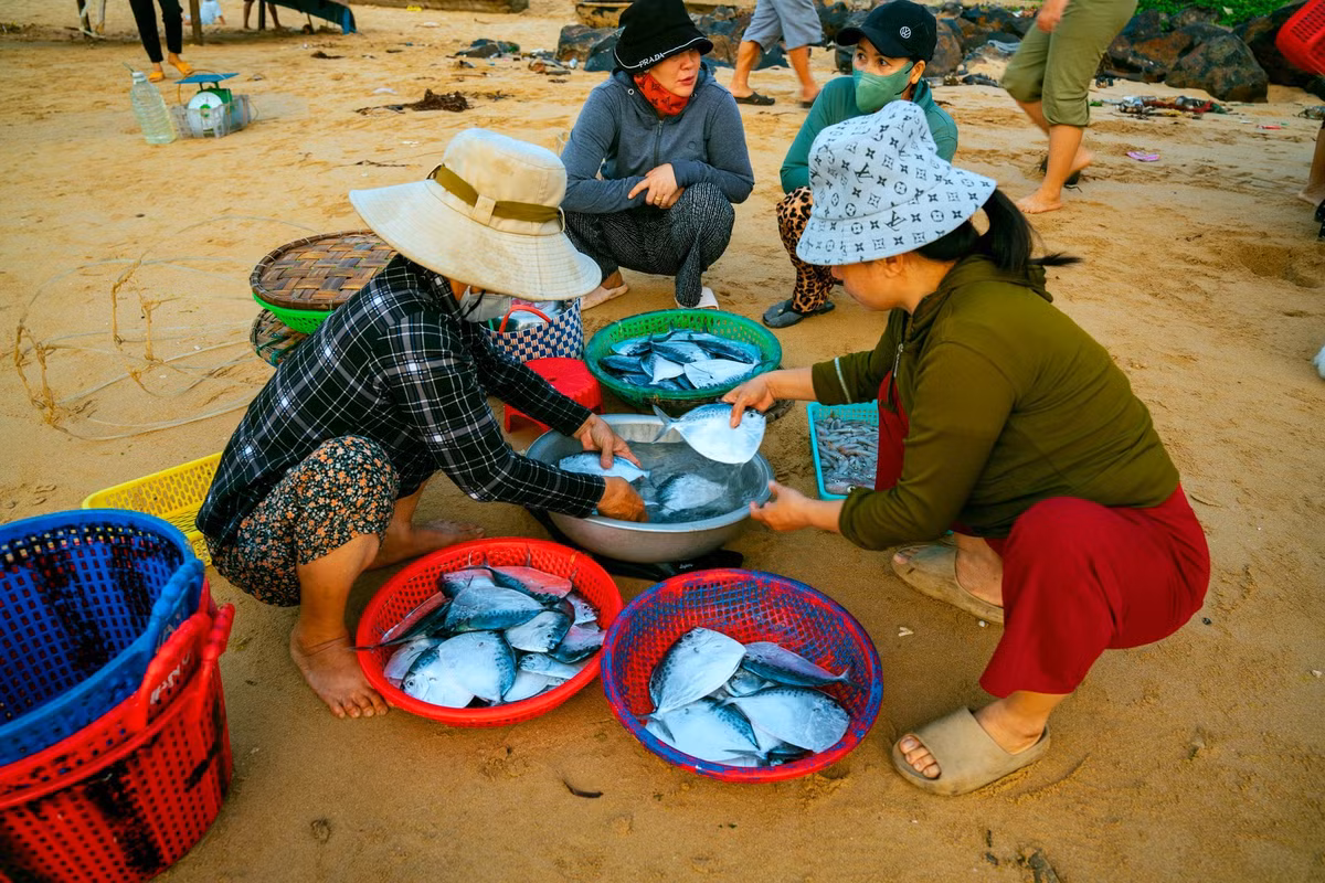 Ánh đèn pin lấp lánh từ các sạp hàng, tiếng trả giá rôm rả và nhịp lao động hối hả hòa quyện tạo nên bức tranh sinh động của làng chài khi trời còn chưa sáng rõ.