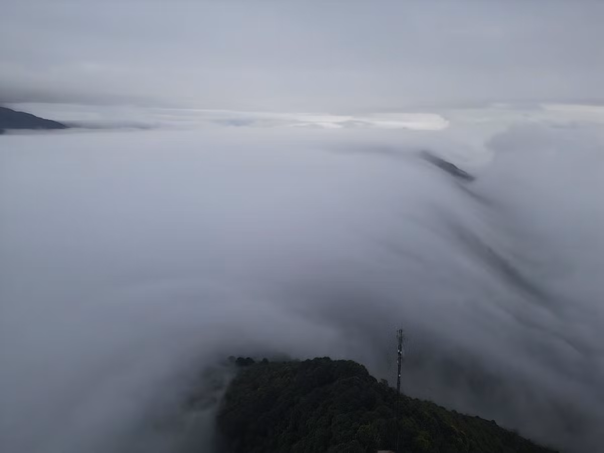 Không chỉ có mây, Tà Xùa còn hấp dẫn bởi những đồi chè Shan tuyết cổ thụ, rặng đào non chớm nụ và bản làng người Mông yên bình. Du khách có thể kết hợp hành trình săn mây với trải nghiệm văn hóa bản địa – nhâm nhi chén rượu ngô ấm nồng, thưởng thức thắng cố, lẩu cá tầm, gà nướng mắc khén, hay ghé phiên chợ vùng cao mua mật ong rừng, chè khô, thổ cẩm. Ảnh A's Lầu's