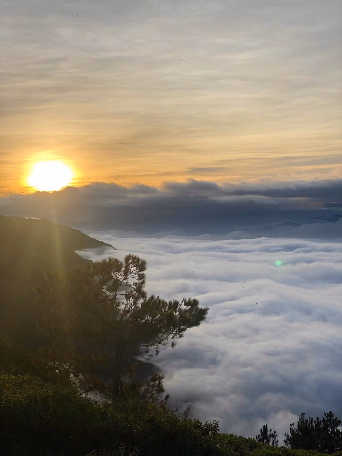 Theo dự báo, trong những tuần tới, vùng Bắc Yên tiếp tục duy trì thời tiết lạnh, khô và ít mưa, tạo điều kiện thuận lợi để mây tầng thấp hình thành dày đặc. Tuy nhiên, du khách vẫn cần chuẩn bị kỹ trang phục và vật dụng cần thiết: giày chống trơn, áo khoác giữ ấm, găng tay, mũ len và đèn pin. Ảnh A's Lầu's