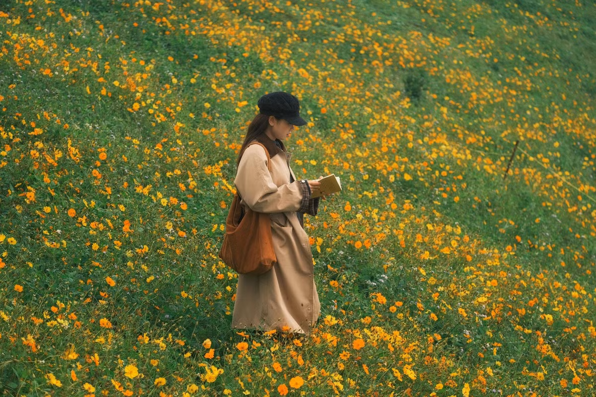 Tà Xùa vốn nổi tiếng là "thiên đường săn mây”, nhưng gần đây nơi đây còn khiến du khách say lòng với khung cảnh hoàng hôn buông xuống trên những triền cỏ xanh mướt. Ảnh Diệp Hữu Đạt