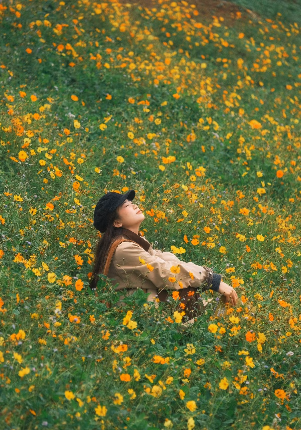 Điểm “check-in” được yêu thích nhất là đồi sống lưng khủng long Tà Xùa – dải đất uốn lượn như lưng một con rồng khổng lồ giữa biển mây. Từ đây, du khách có thể phóng tầm mắt bao quát toàn cảnh thung lũng, ngắm mặt trời lặn dần sau những dãy núi trùng điệp. Ảnh Diệp Hữu Đạt