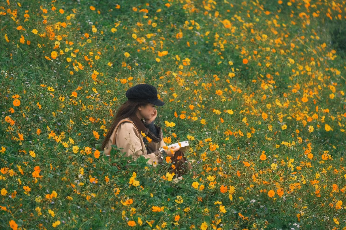 Giữa nhịp sống hối hả, Tà Xùa như một chốn trú ẩn yên bình, nơi con người được sống chậm lại, được ngắm nhìn vẻ đẹp thuần khiết của thiên nhiên – nơi hoàng hôn buông xuống, trên nền cỏ hoa, khiến ai cũng ngỡ mình đang lạc vào giấc mơ. Ảnh Diệp Hữu Đạt