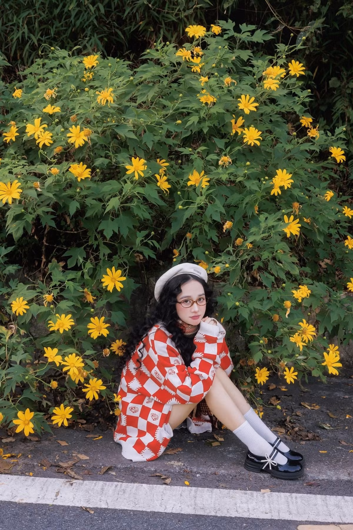 Đây là thời điểm đẹp nhất trong năm để chiêm ngưỡng vẻ đẹp của dã quỳ – loài hoa được mệnh danh là “mặt trời nhỏ” giữa mùa đông. Ảnh Chiến Hữu Nguyễn