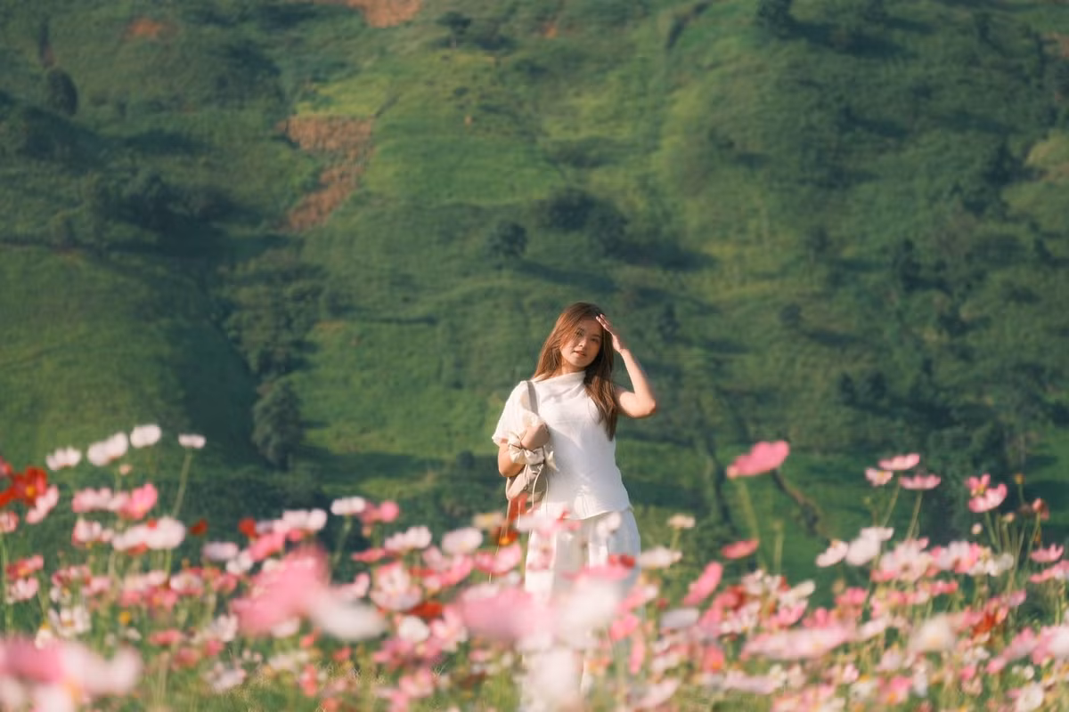 Để có trải nghiệm trọn vẹn, du khách nên chuẩn bị máy ảnh hoặc điện thoại với pin đầy, trang phục thoải mái, giày dép phù hợp và chú ý giữ gìn cảnh quan. Ghé thăm đồi hoa cánh bướm Tà Xùa không chỉ là cơ hội thưởng lãm sắc hoa mà còn là hành trình khám phá núi rừng Tây Bắc đầy ấn tượng, nơi mỗi bức ảnh như một kỷ niệm khó quên. Ảnh Diệp Hữu Đạt