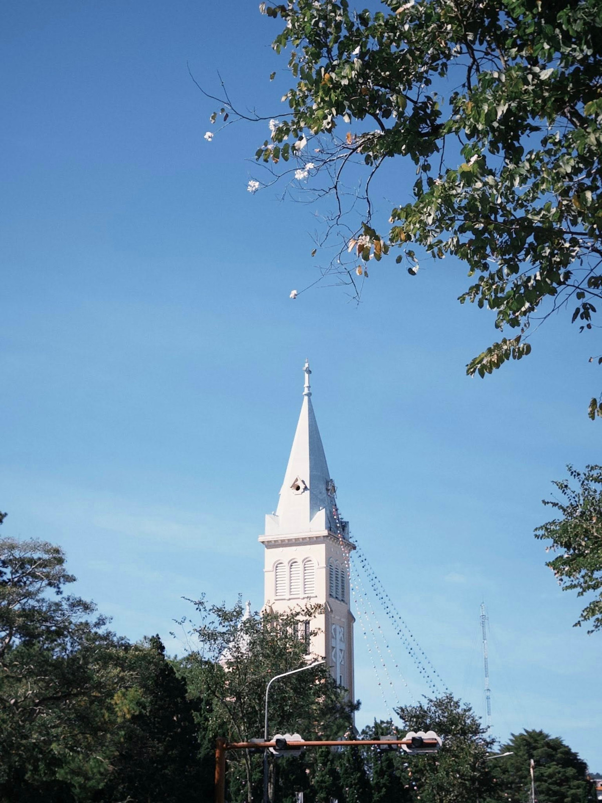 Hoa ban trắng Đà Lạt là cây gỗ, chiều cao trung bình từ 10 đến 12m. Hoa thường mọc thành chùm ở đầu cành, cánh mỏng, màu trắng tinh khiết, đôi khi phảng phất sắc tím nhạt nơi nhụy. Hương hoa không nồng, chỉ thoang thoảng trong gió, đủ để người đi đường cảm nhận được sự dịu dàng rất riêng của loài hoa này. Ảnh Phan Trần