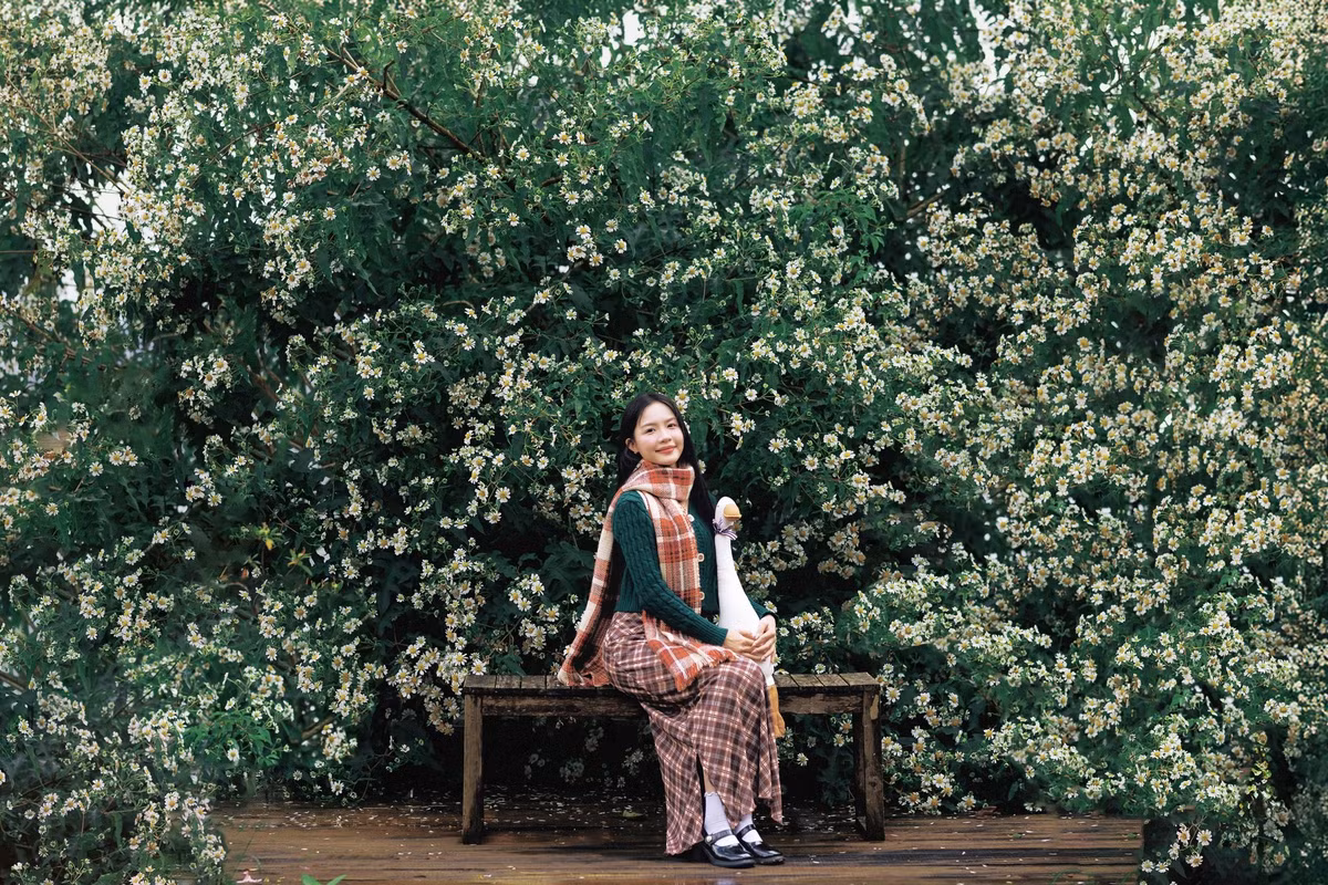 Không chỉ nổi tiếng với mai anh đào, cẩm tú cầu hay dã quỳ vàng rực rỡ, Đà Lạt còn sở hữu một “báu vật” ít người biết: dã quỳ trắng. Loài hoa mảnh mai nhưng đầy sức sống này nở lặng lẽ ở vùng ngoại ô, mang đến sắc trắng thanh khiết hiếm gặp, khiến nhiều du khách bất ngờ khi tình cờ bắt gặp. Ảnh Bùi Huy Tưởng