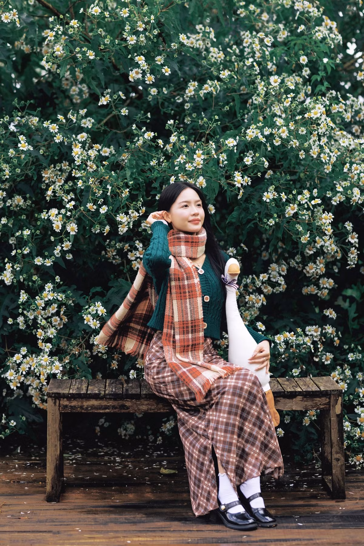 Nếu dã quỳ vàng mọc theo bụi thấp và nở rộ thành từng thảm lớn ven đồi, thì dã quỳ trắng lại có thân gỗ, cao hơn và tán rộng, vươn mình mạnh mẽ qua nhiều mùa. Chính đặc điểm này tạo cho chúng vẻ đẹp khoáng đạt, ít phô trương nhưng đầy cuốn hút. Ảnh Bùi Huy Tưởng