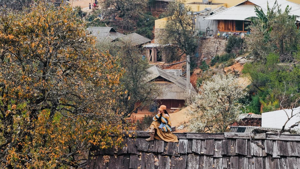 Mỗi dịp đầu xuân, nơi đây lại bừng sáng trong sắc trắng tinh khôi của hoa sơn tra, loài hoa đặc trưng của vùng núi cao Sơn La. Ảnh: Vananh Nguyen