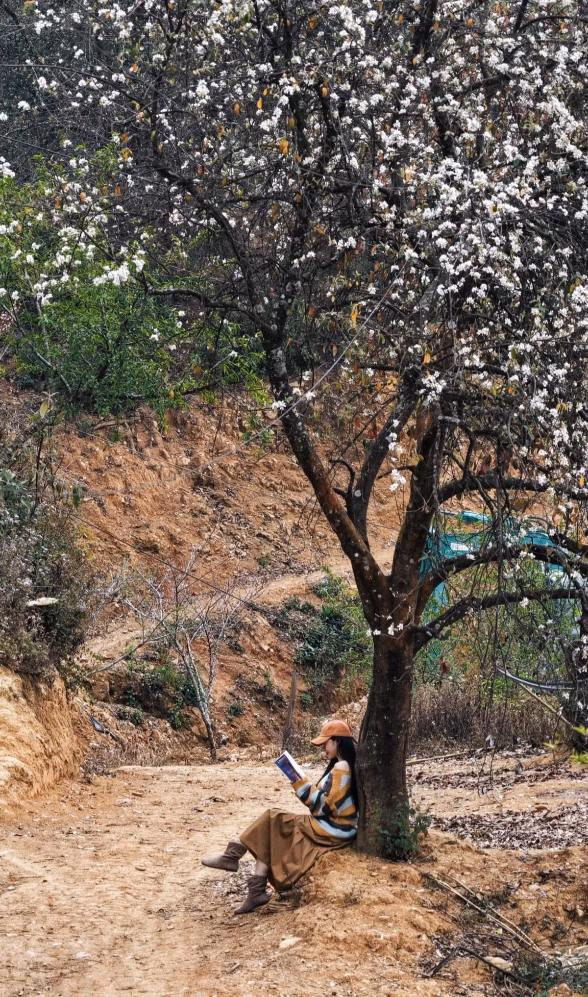 Ngoài ngắm hoa, nhiều người còn kết hợp trekking Tà Chì Nhù, săn mây, chụp ảnh mùa xuân hay khám phá văn hóa Mông bản địa. Ảnh: Vananh Nguyen