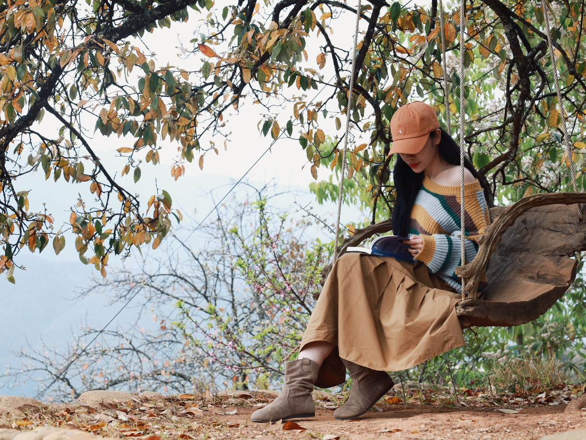 Đến mùa thu, từ tháng 9 đến tháng 10, sơn tra cho quả. Mỗi năm, người dân thu về hơn 3.000 tấn quả tươi, chế biến thành nhiều sản phẩm đặc trưng như rượu táo mèo, siro, mứt hay dược liệu. Nhờ đó, sơn tra được xem như “cây thoát nghèo” của nhiều hộ dân vùng cao. Ảnh: Vananh Nguyen