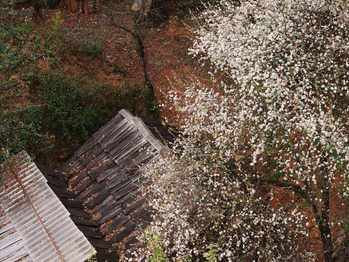 Những năm gần đây, khi du khách bắt đầu tìm về nhiều hơn, người dân Nậm Nghiệp cũng từng bước làm quen với du lịch cộng đồng. Không ồn ào, không dịch vụ hóa mạnh, nơi đây vẫn giữ nguyên nét mộc mạc của bản vùng cao. Ảnh: Nung Ly's