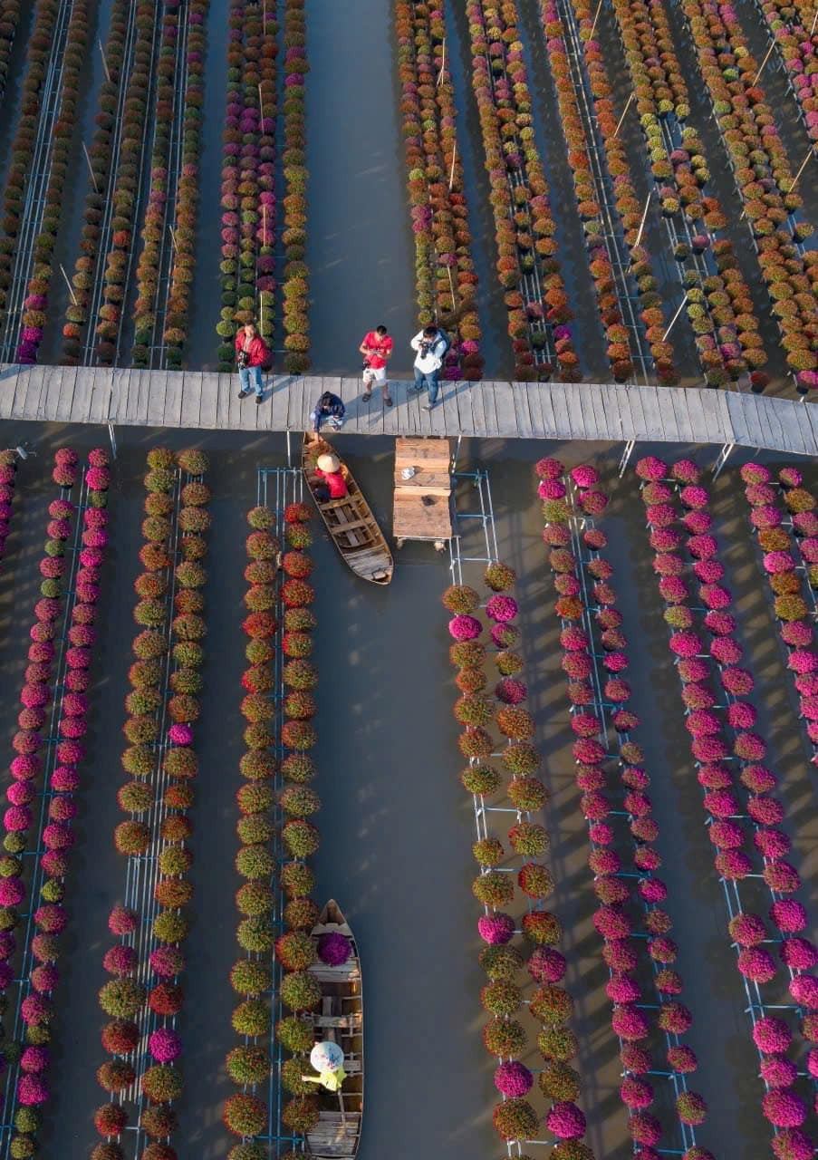 Làng hoa Sa Đéc hình thành từ những vườn hoa hồng ven sông của các bậc tiền nhân. Qua nhiều thế hệ, người dân không ngừng tích lũy kinh nghiệm, hoàn thiện kỹ thuật nhân giống, chăm sóc và tạo dáng hoa kiểng. Đến nay, làng hoa có diện tích gần 1.000 ha, được xem là vùng sản xuất hoa kiểng lớn nhất Đồng bằng sông Cửu Long. Ảnh Fanpage Làng hoa Sa Đéc