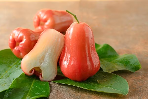 Với đặc tính lợi tiểu, roi giúp tăng đào thải độc tố qua đường tiểu, làm sạch đường tiết niệu và giảm nguy cơ hình thành sỏi thận. Ăn roi đều đặn còn hỗ trợ giảm viêm bàng quang, giúp cơ thể nhẹ nhõm, mát mẻ hơn trong những ngày nắng nóng. Ảnh minh họa