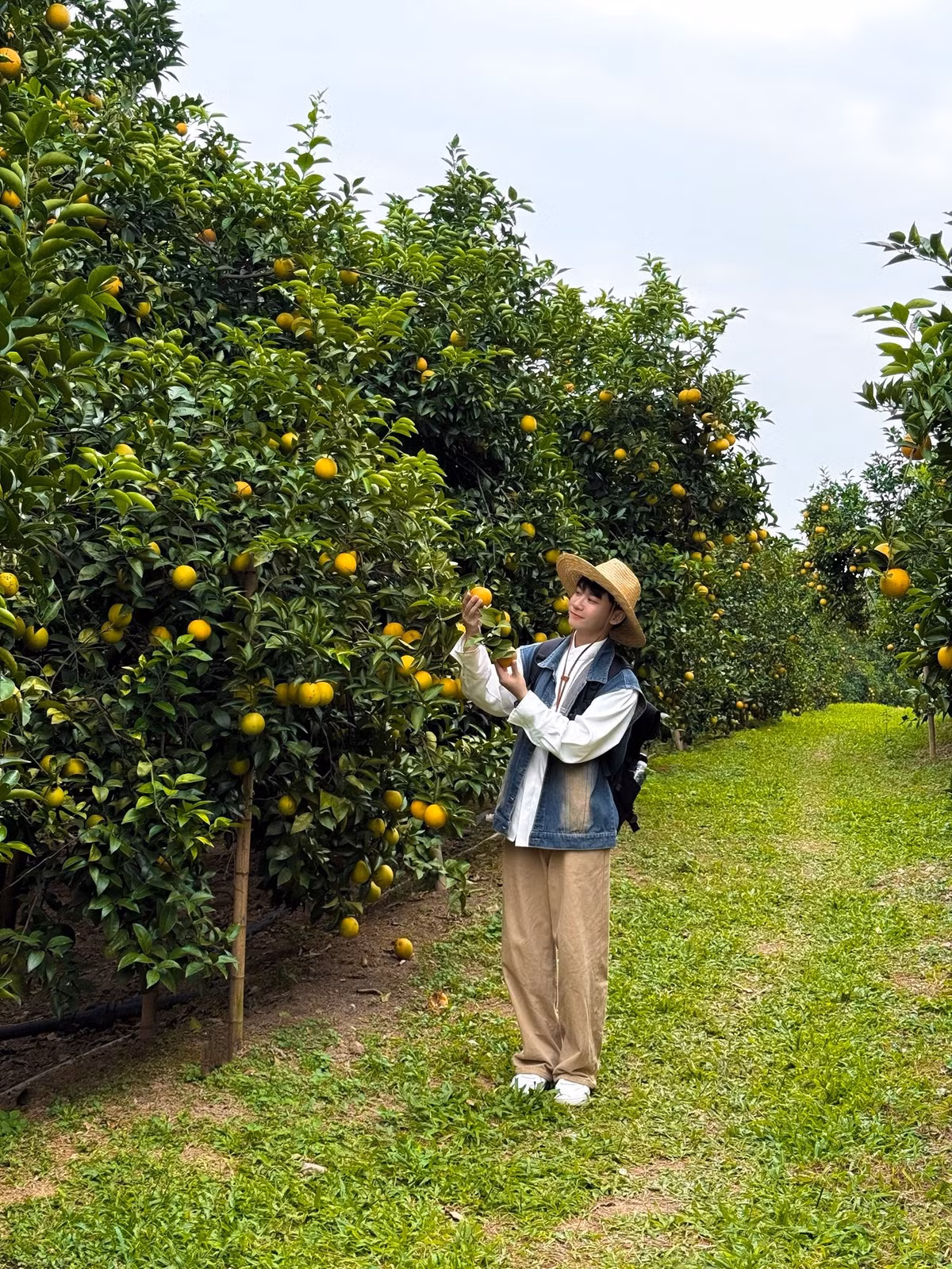 Lượng khách ổn định giúp nông dân địa phương có thêm nguồn thu nhập bên cạnh việc bán nông sản, đồng thời mở ra hướng làm du lịch sinh thái bền vững cho vùng chuyên canh cây ăn quả. Ảnh Lăng Văn Toán