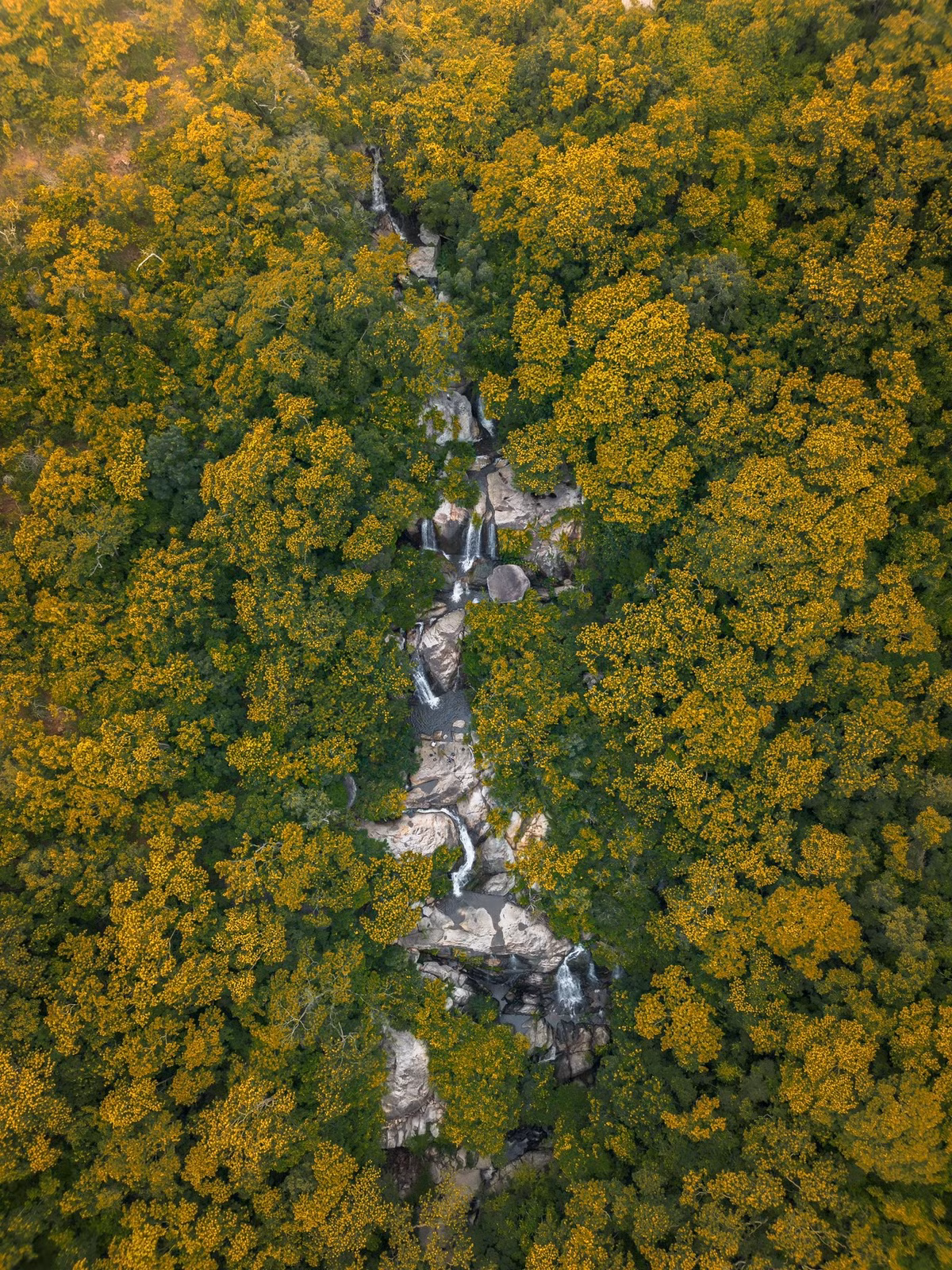 Thác 5 tầng không chỉ hấp dẫn bởi vẻ đẹp hùng vĩ mà còn là “phòng thí nghiệm tự nhiên” của hệ sinh thái rừng bán khô hạn hiếm có. Ảnh Phong Ba