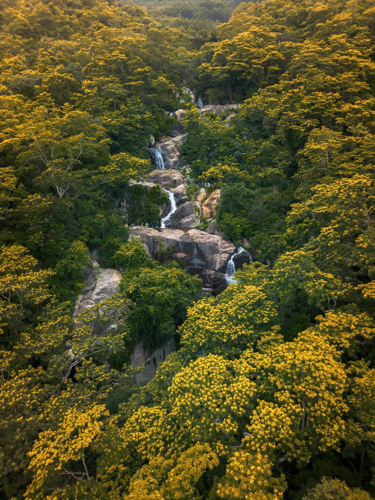 Khi đến thác, phần thưởng xứng đáng cho chặng đường dài là làn nước trong vắt, mát lạnh đến tê người. Ảnh Phong Ba