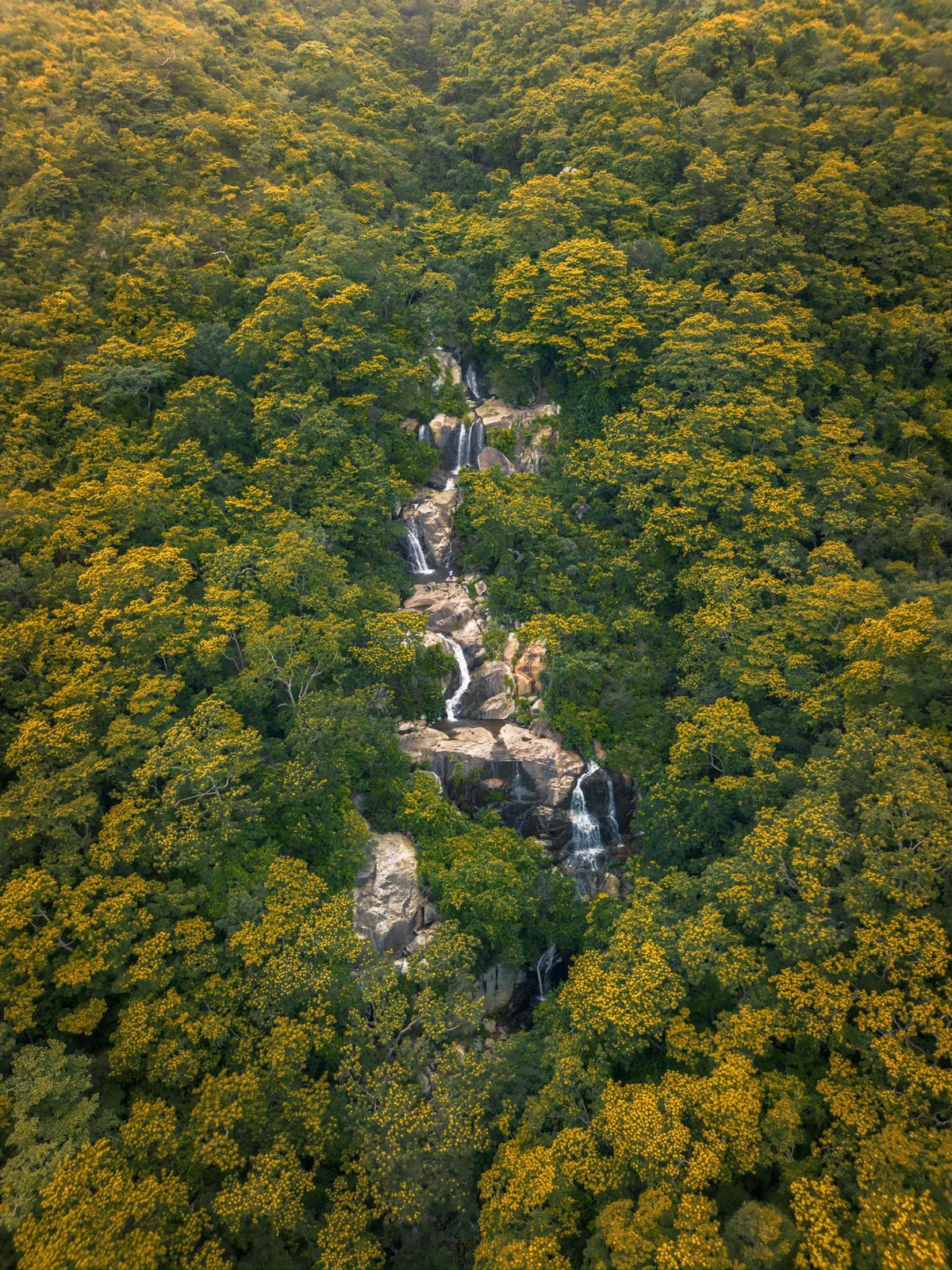 Nhiều du khách chọn ngâm mình dưới hồ, tận hưởng cảm giác sảng khoái giữa núi rừng. Bên cạnh đó, trải nghiệm câu cá suối, picnic bên bờ thác hay check-in giữa khung cảnh kỳ vĩ cũng mang lại nhiều kỷ niệm đáng nhớ. Ảnh Phong Ba