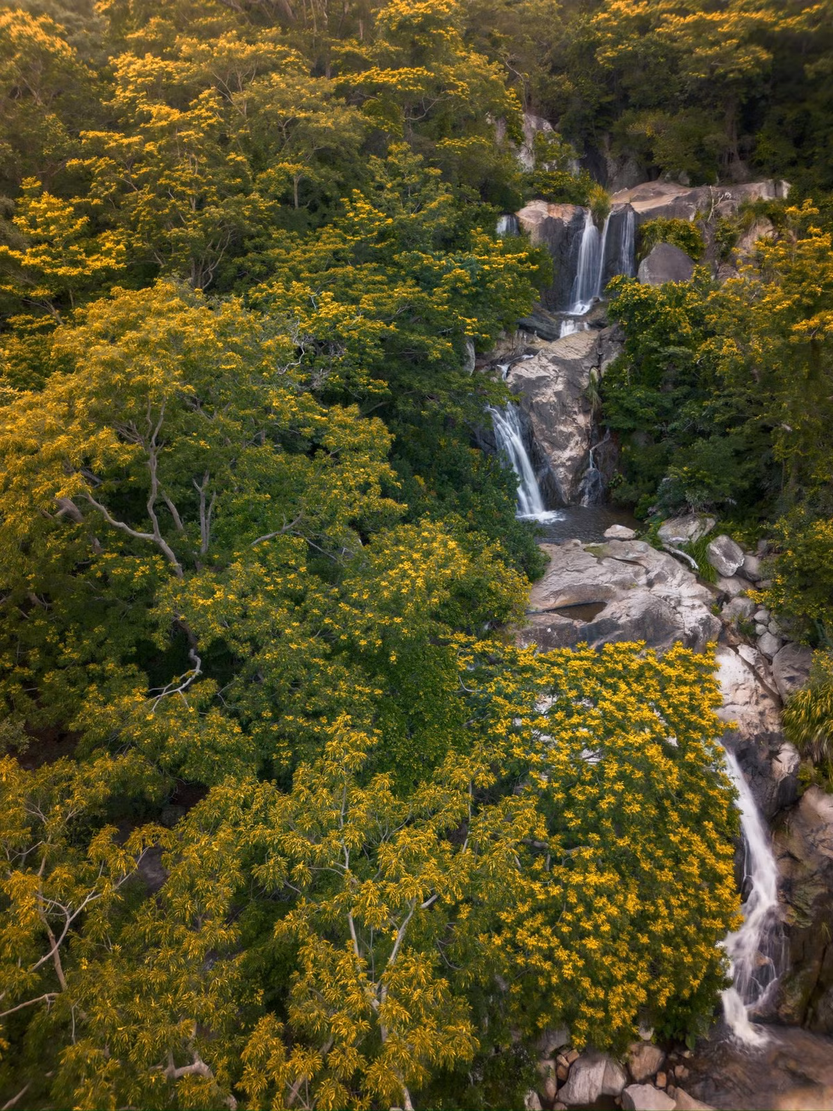 Hành trình băng rừng tuy vất vả nhưng bù lại, cảnh quan hai bên đường là rừng khô hạn đặc trưng của Núi Chúa vùng đất được mệnh danh là “tiểu sa mạc” của Việt Nam. Ảnh Phong Ba