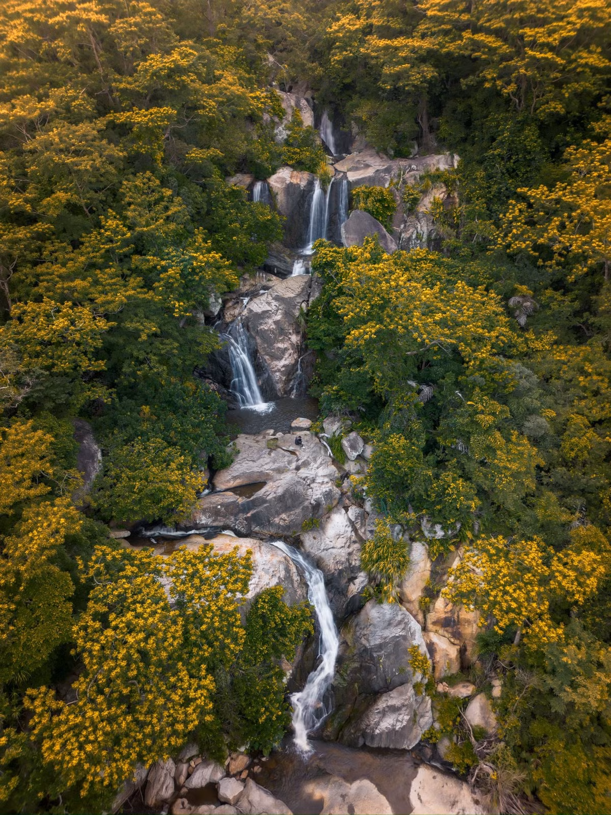 Trên đường đi, du khách có thể bắt gặp vô số loài chim, bướm, thậm chí là động vật quý hiếm trong khu dự trữ sinh quyển thế giới Núi Chúa – nơi hội tụ giá trị đa dạng sinh học đặc biệt. Ảnh Phong Ba
