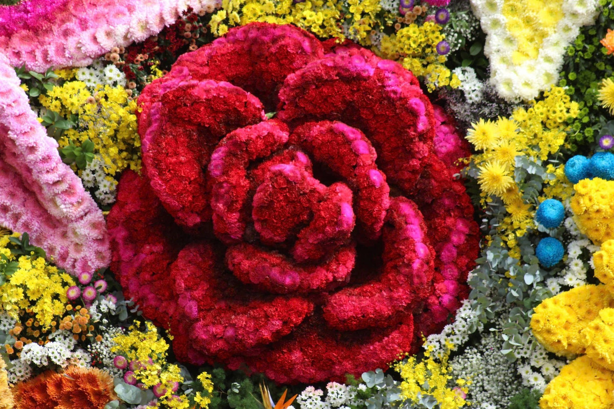 Bên cạnh trải nghiệm thưởng lãm, du khách có thể kết hợp tham quan toàn bộ Vườn hoa Đà Lạt – nơi hội tụ hàng trăm loài hoa đặc sắc, những tiểu cảnh bắt mắt và các khu vực chụp ảnh nghệ thuật. Ảnh Vườn hoa Đà Lạt