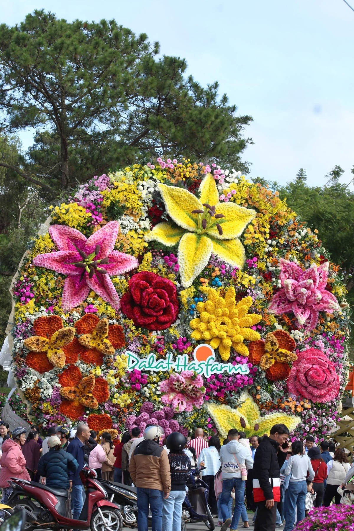 Hiện tại, bó hoa khổng lồ được đặt trang trọng tại cổng chính của Vườn hoa Đà Lạt, trở thành điểm check-in không thể bỏ qua cho du khách. Ảnh Vườn hoa Đà Lạt