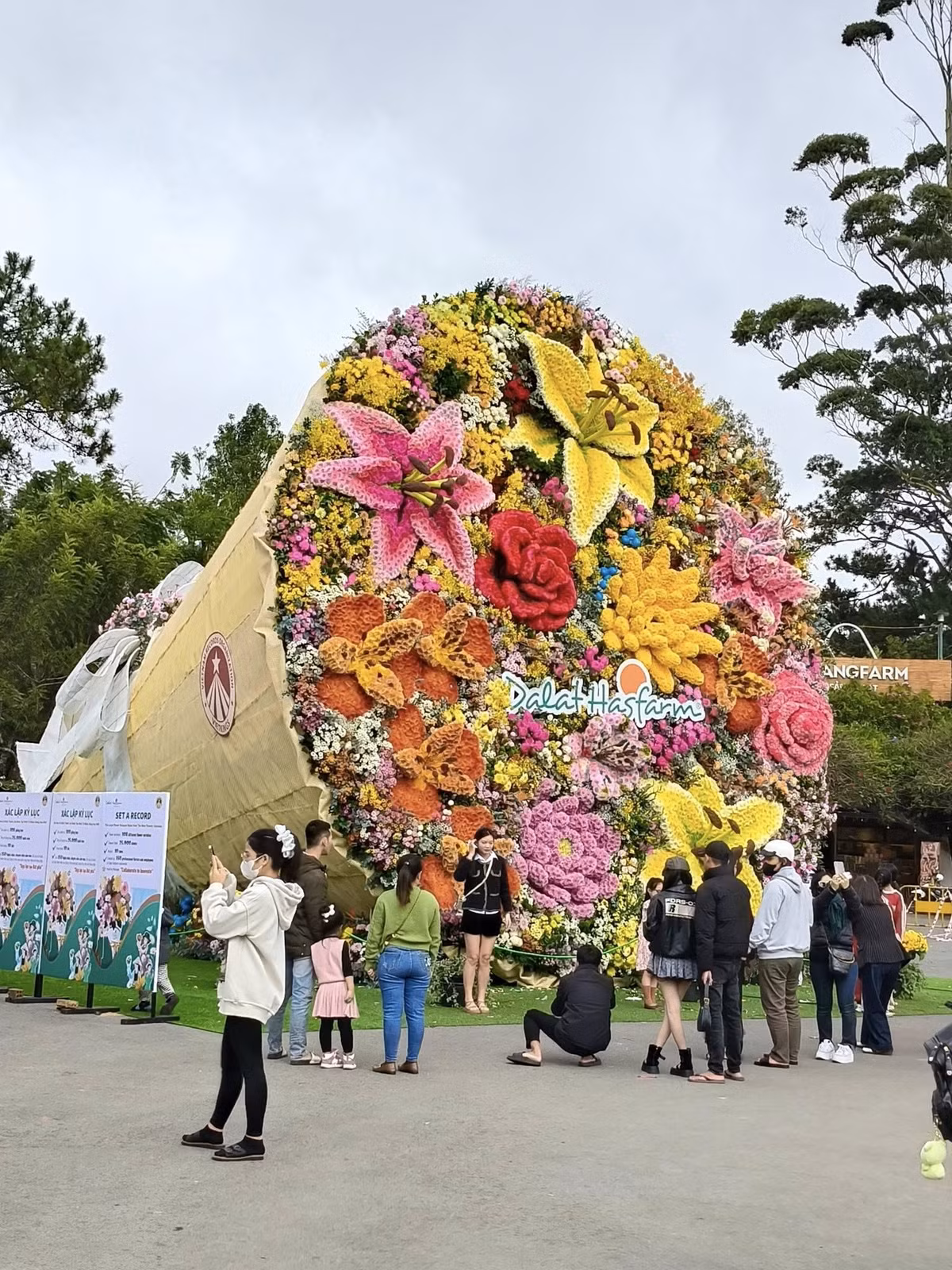 Bó hoa đặc biệt này hội tụ đa dạng các loài hoa như hoa cúc, hoa ly, hoa lan, hoa thạch thảo… với khoảng 25.000 nhành hoa tươi, tạo nên một công trình nghệ thuật rực rỡ, sống động. Tổng trọng lượng lên đến 10 tấn khiến đây trở thành bó hoa có kích thước lớn và nhiều giống hoa nhất từng được tạo hình tại Việt Nam. Ảnh Vườn hoa Đà Lạt