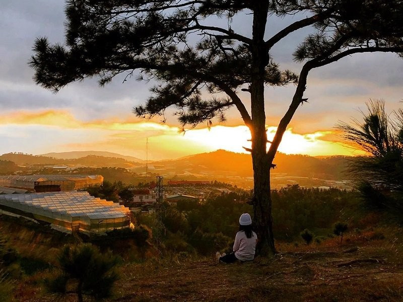 Một trong những địa điểm ngắm hoàng hôn nổi tiếng ở Đà Lạt chính là đồi Thiên Phúc Đức. Cây thông cô đơn trên đỉnh đồi, kết hợp với ánh hoàng hôn nhuộm vàng cả bãi cỏ, tạo nên một bức tranh tuyệt đẹp. Đây là nơi lý tưởng để thư giãn, tận hưởng không gian yên bình và lưu giữ những bức ảnh đẹp. Ảnh AGO Tourist