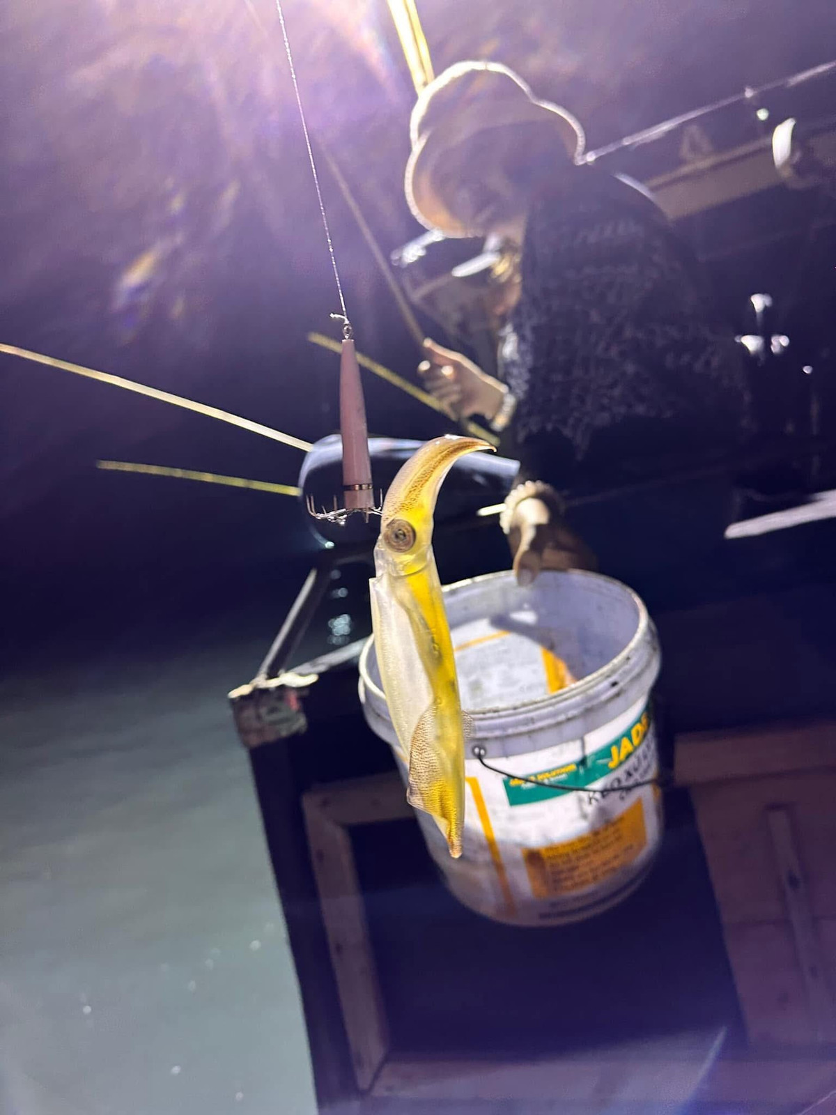 Một trải nghiệm khác rất được yêu thích là câu mực đêm cùng ngư dân, vừa thú vị, vừa mang lại thành quả là những món hải sản tươi rói cho bữa ăn ngay tại chỗ. Ảnh Nguyễn Thanh Tuyền