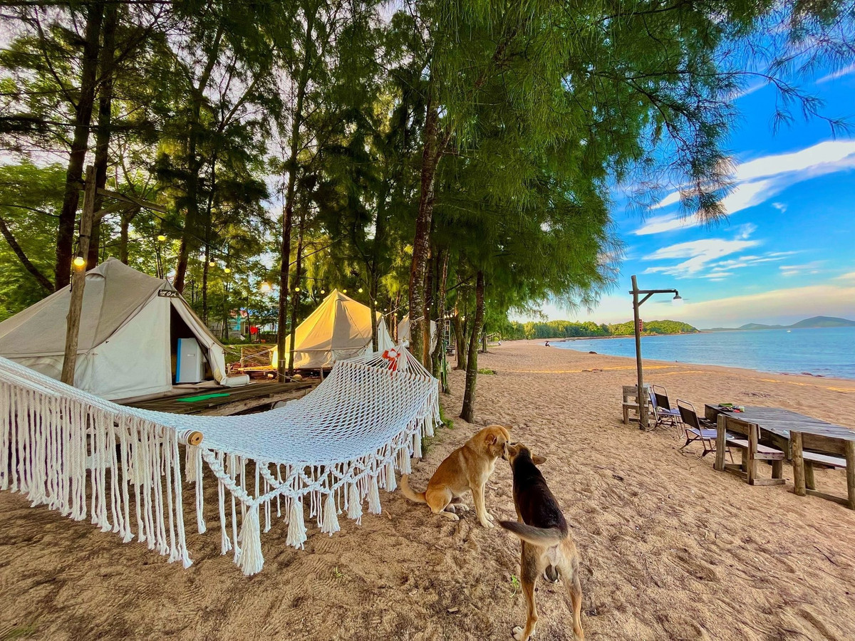 Trên đảo Cái Chiên có nhiều lựa chọn lưu trú từ homestay dân dã, container view biển đến các khu cắm trại ngoài trời. Giá phòng dao động từ 350.000 – 700.000 đồng/đêm, phù hợp với nhiều nhóm khách khác nhau. Hải sản trên đảo tươi ngon, giá hợp lý với các món nổi bật như mực một nắng, ghẹ hấp, cháo hà, ốc móng tay… Một số homestay còn phục vụ tiệc BBQ hải sản theo yêu cầu. Ảnh Nguyễn Thanh Tuyền