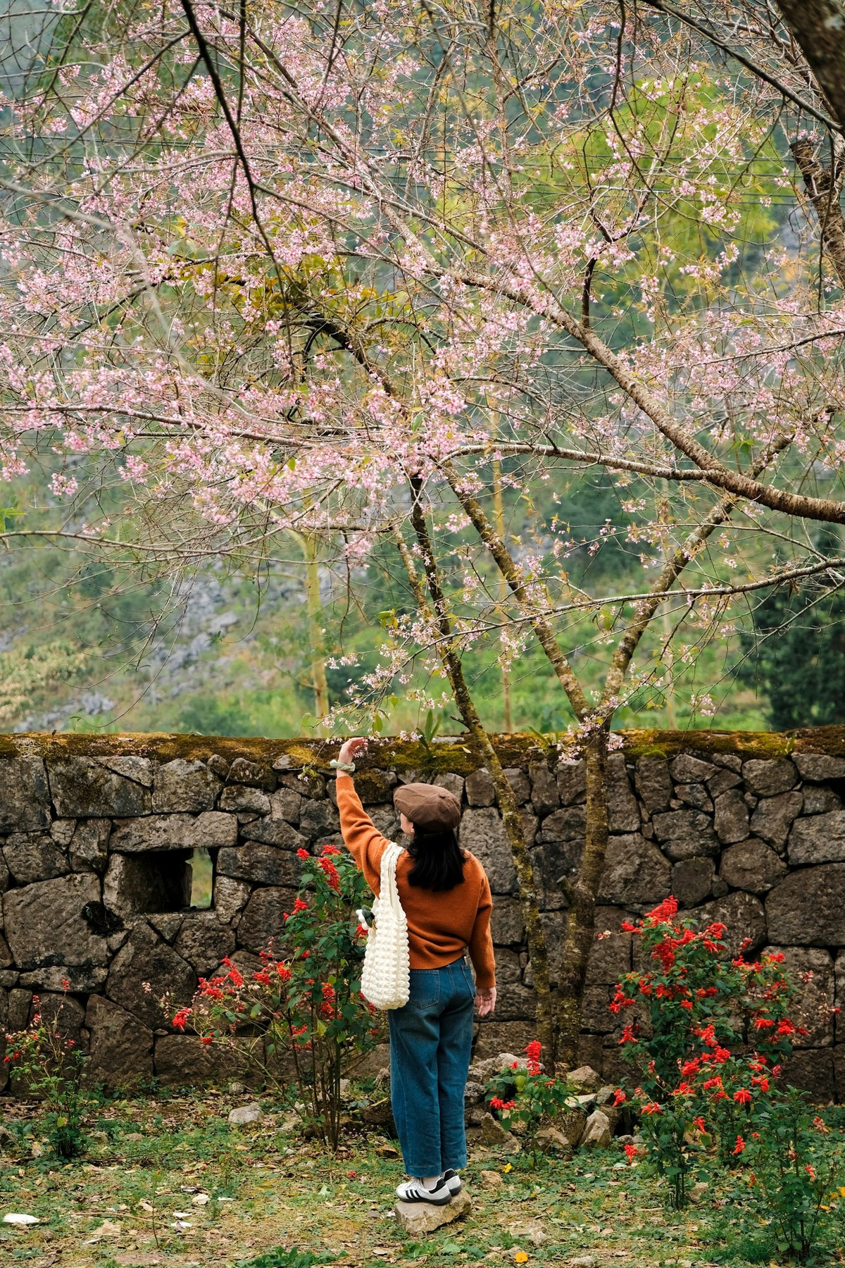 Khung cảnh hoa anh đào không chỉ tạo điểm nhấn cho những bức hình sống ảo mà còn mang đến trải nghiệm thư giãn, yên bình giữa không gian cổ kính, tĩnh lặng. Ảnh Fanpage Ba đứa mình