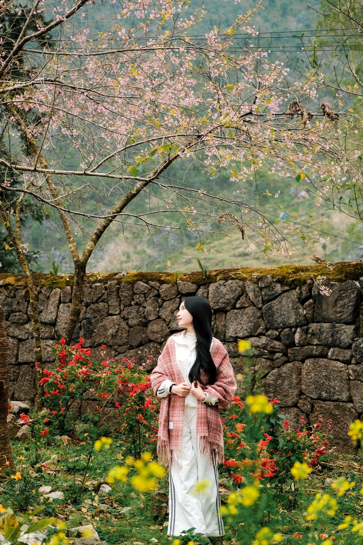 Ngôi dinh thự từng là cơ ngơi quyền uy một thời, mang đậm dấu ấn lịch sử và kiến trúc xưa cũ, khiến du khách dễ dàng cảm nhận được vẻ hoài niệm và trang nghiêm của một gia tộc nổi tiếng. Ảnh Fanpapge Ba đứa mình