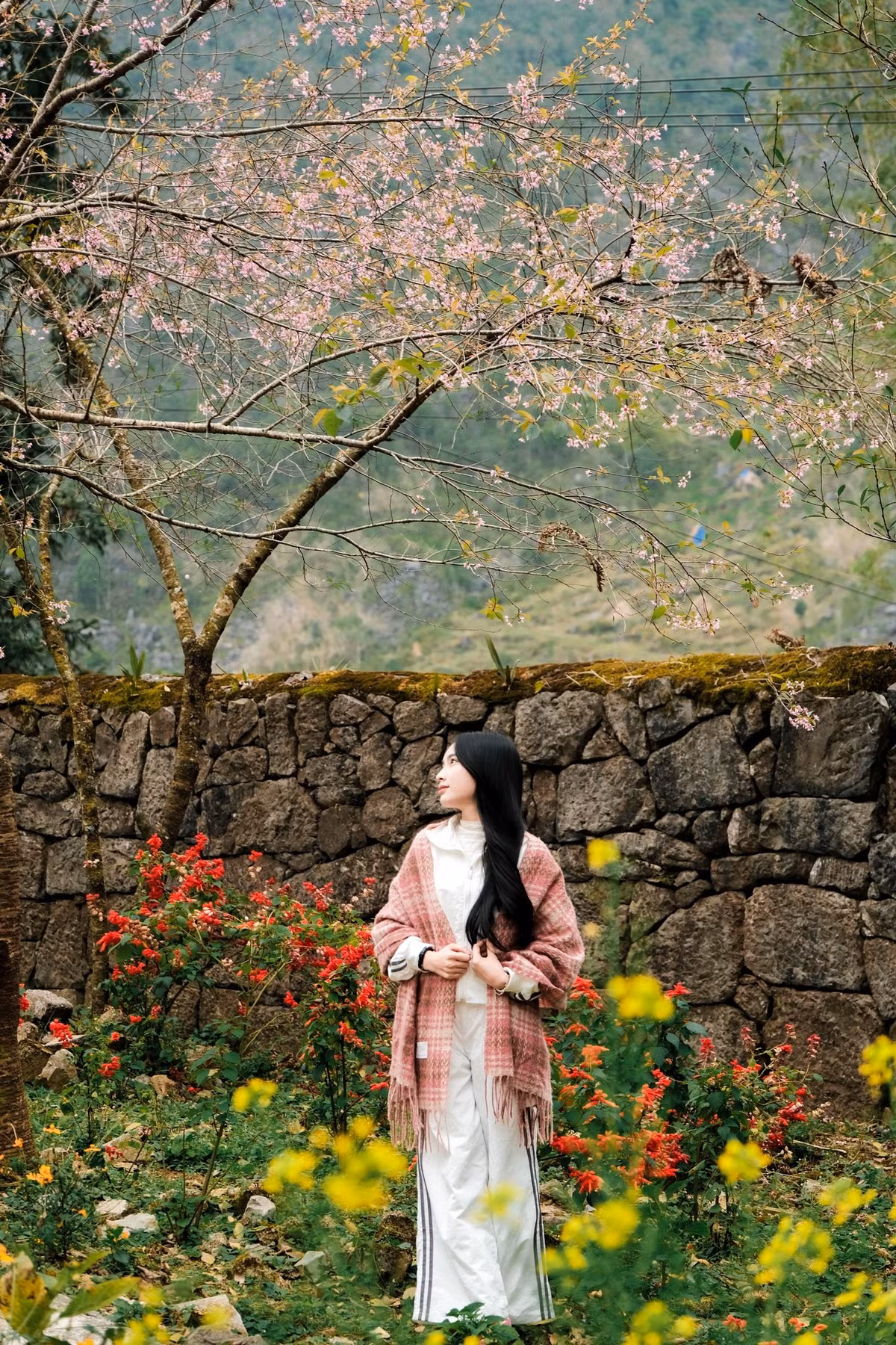 Ngôi dinh thự từng là cơ ngơi quyền uy một thời, mang đậm dấu ấn lịch sử và kiến trúc xưa cũ, khiến du khách dễ dàng cảm nhận được vẻ hoài niệm và trang nghiêm của một gia tộc nổi tiếng. Ảnh Fanpapge Ba đứa mình