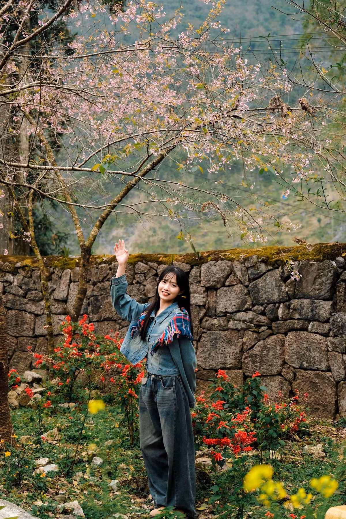 Khi tiết trời se lạnh, trước cổng dinh thự, những cây anh đào khoe sắc hồng rực rỡ, tạo nên khung cảnh thơ mộng và quyến rũ. Ảnh Fanpapge Ba đứa mình