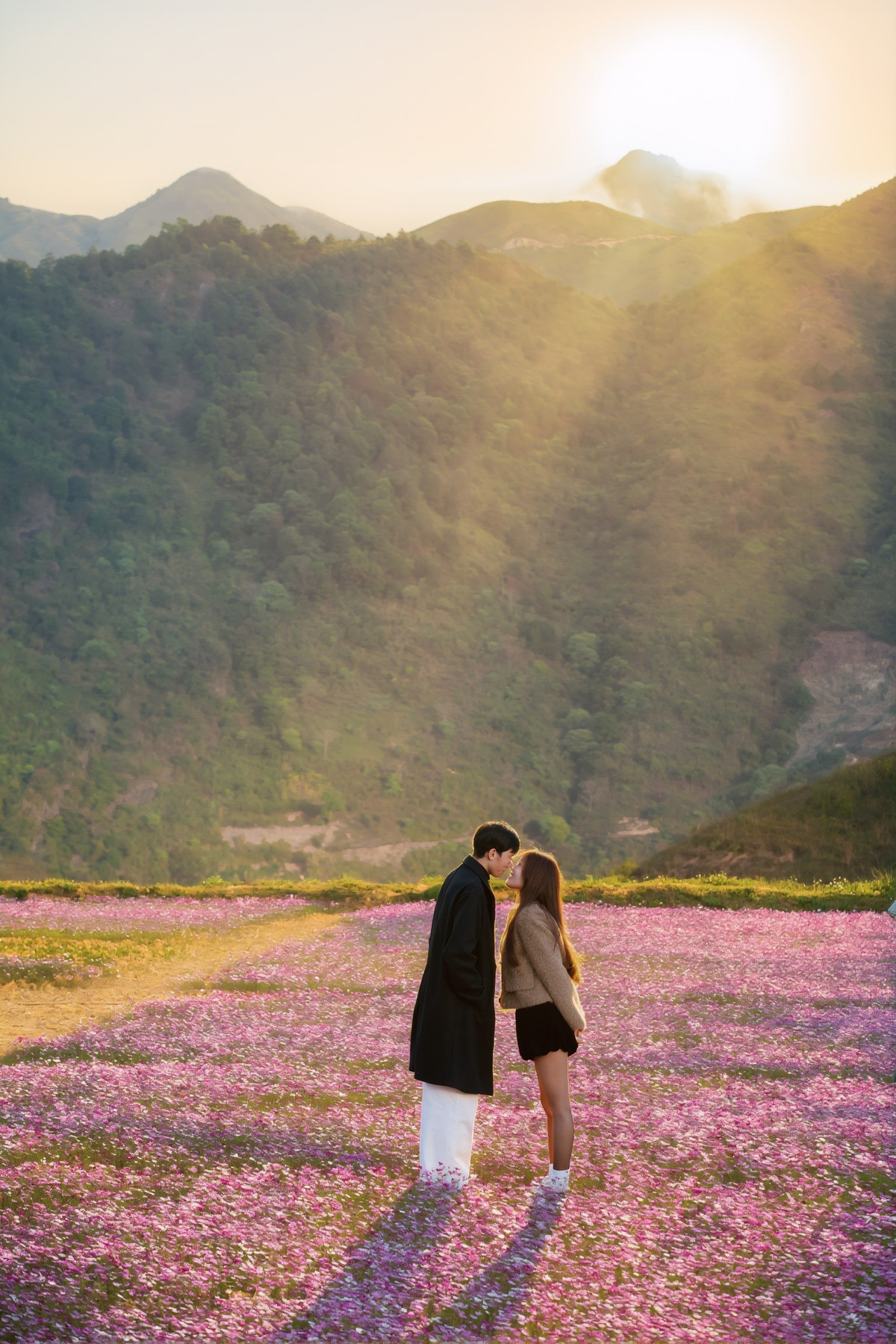 Với những du khách đã từng đến Tà Xùa nhiều lần, đồi hoa cánh bướm là lý do để quay trở lại. Còn với những ai đang tìm kiếm một chuyến đi vừa có thiên nhiên hùng vĩ, vừa có không gian chụp ảnh nhẹ nhàng, thì Tà Xùa mùa hoa nở chắc chắn là gợi ý không nên bỏ lỡ.