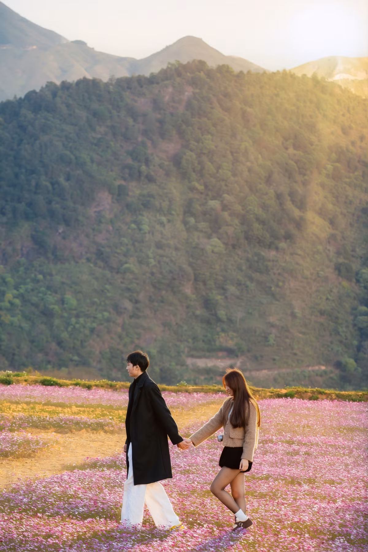 Theo kinh nghiệm của nhiều du khách, chỉ cần chọn trang phục tông trung tính hoặc pastel, đứng ngược sáng vào buổi chiều muộn là đã có ngay loạt ảnh đẹp mang về. Ánh nắng vàng, sắc hoa tím hồng và nền núi rừng xanh thẫm hòa quyện, tạo nên khung hình lãng mạn không kém các phim điện ảnh.